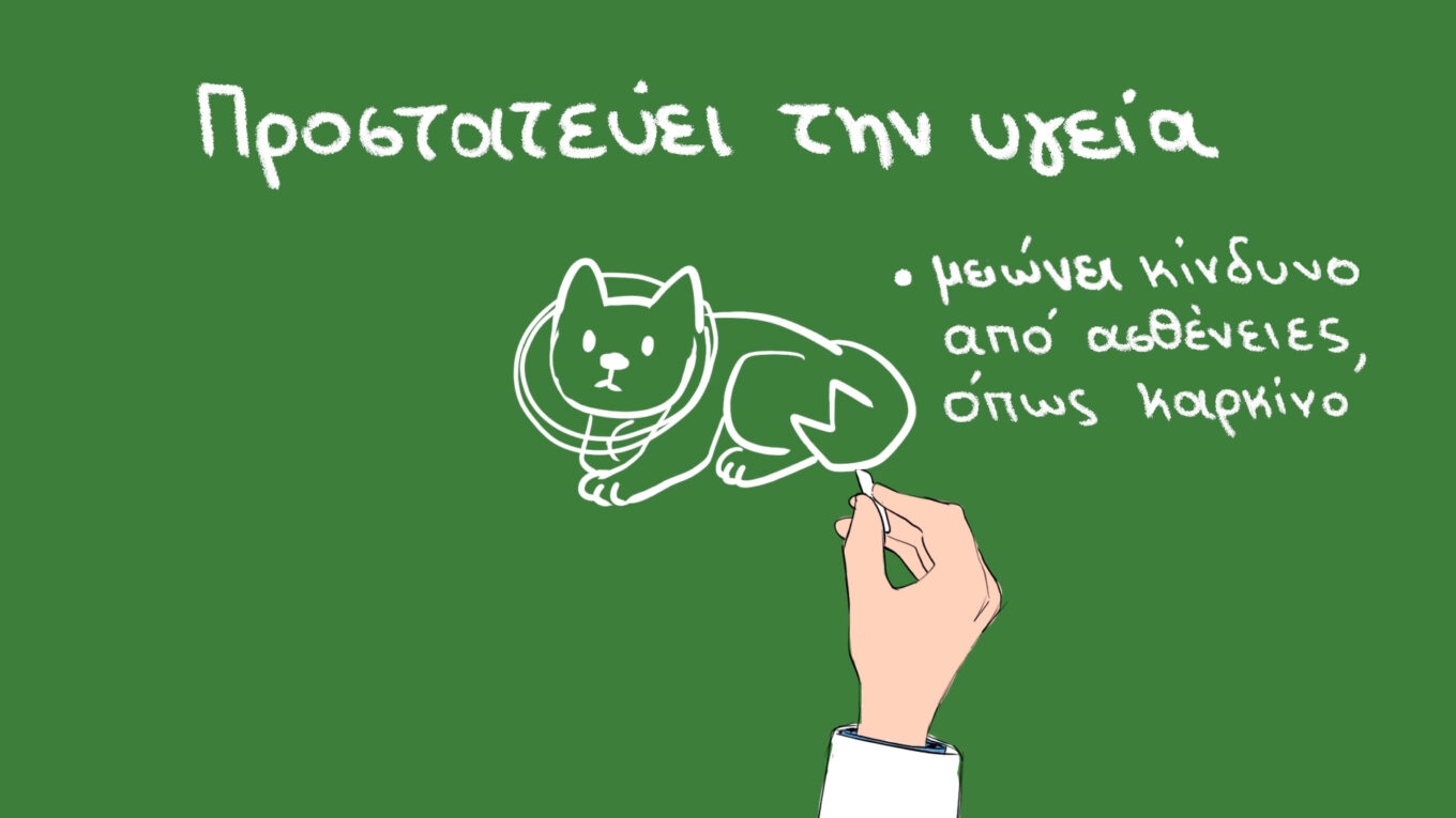 Save A Greek Stay x AKTO